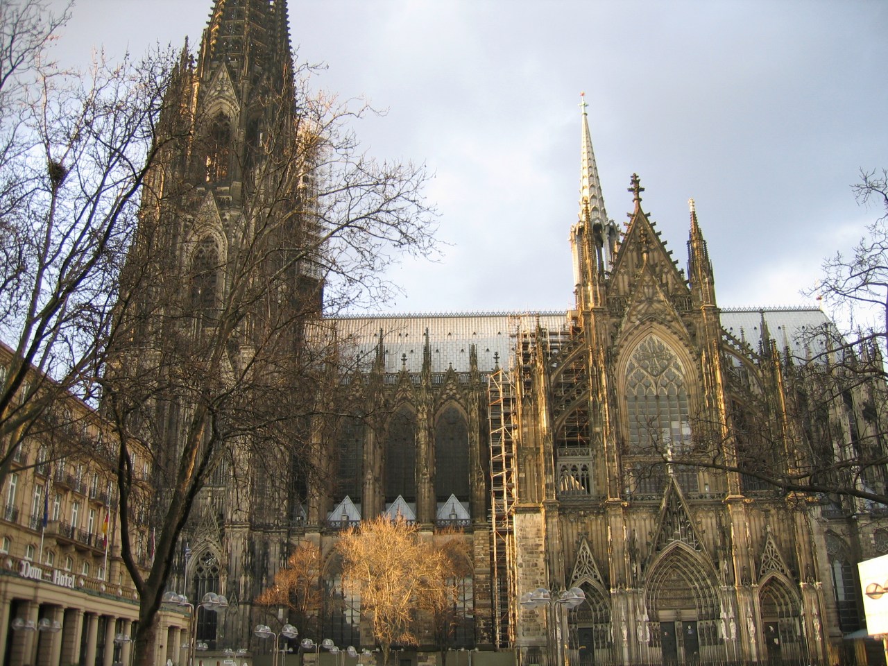 Warm Glow on Cologne Cathedral