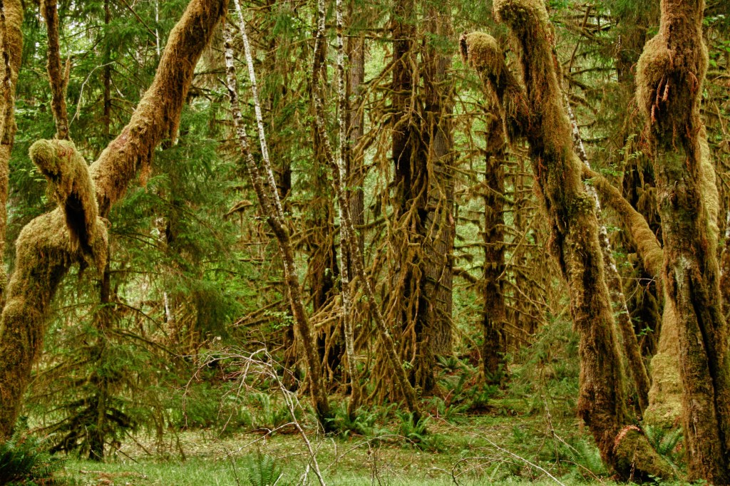 Summer09_Vacation_PacNW-174_HDR