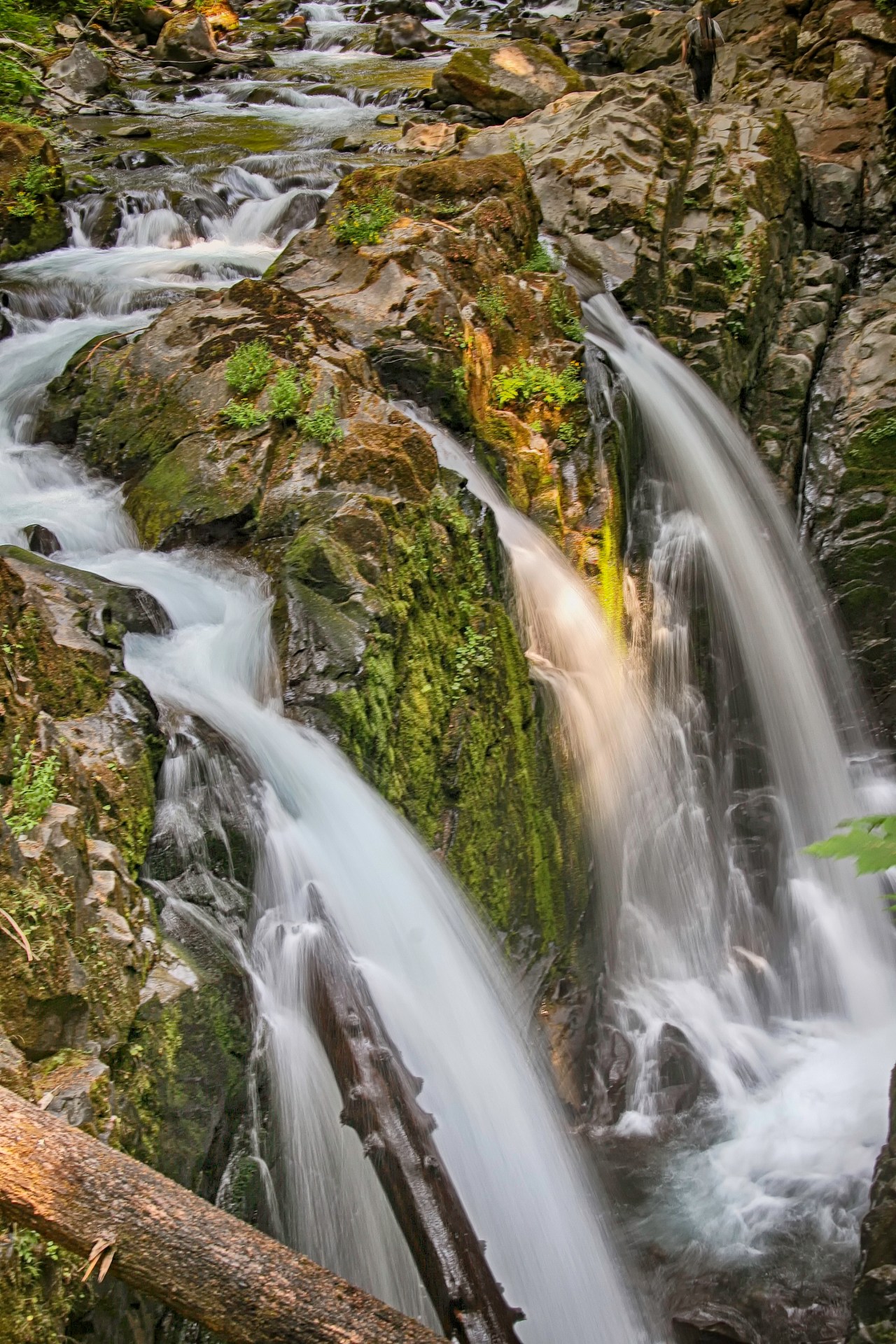 Olympic National Park