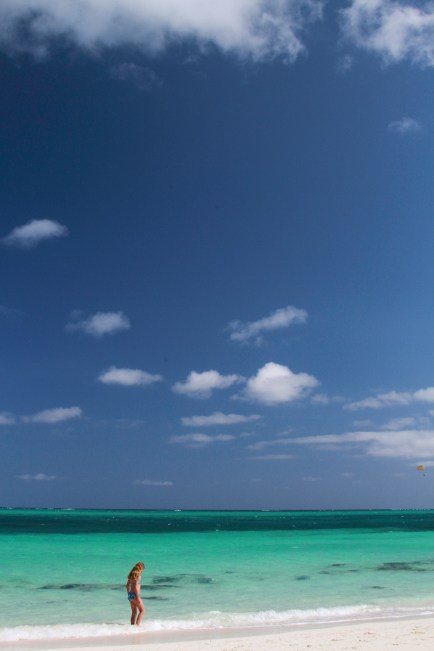 Stunning Water Color