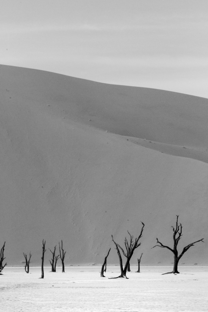 Deadvlei dreams