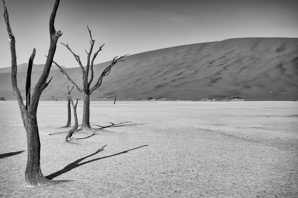Deadvlei shadow