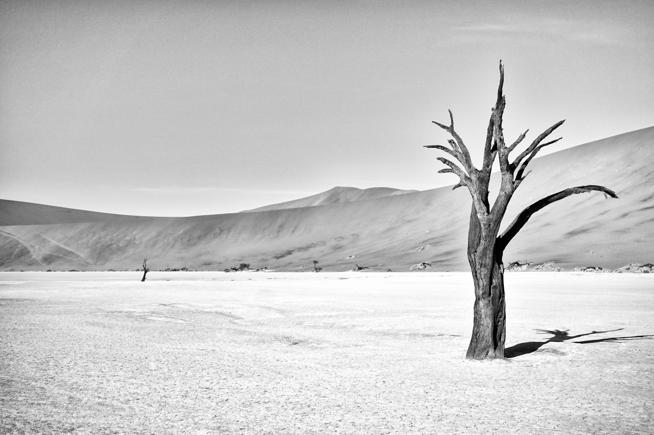 Two Trees –&nbsp;Deadvlei