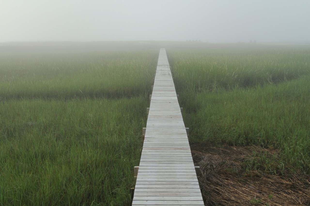 Salt Marsh at Dawn – Cape&nbsp;Cod