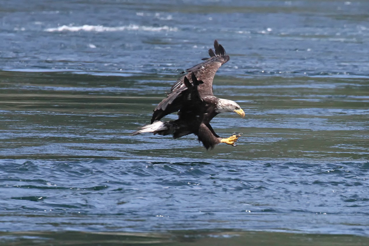 Catch of the&nbsp;Day