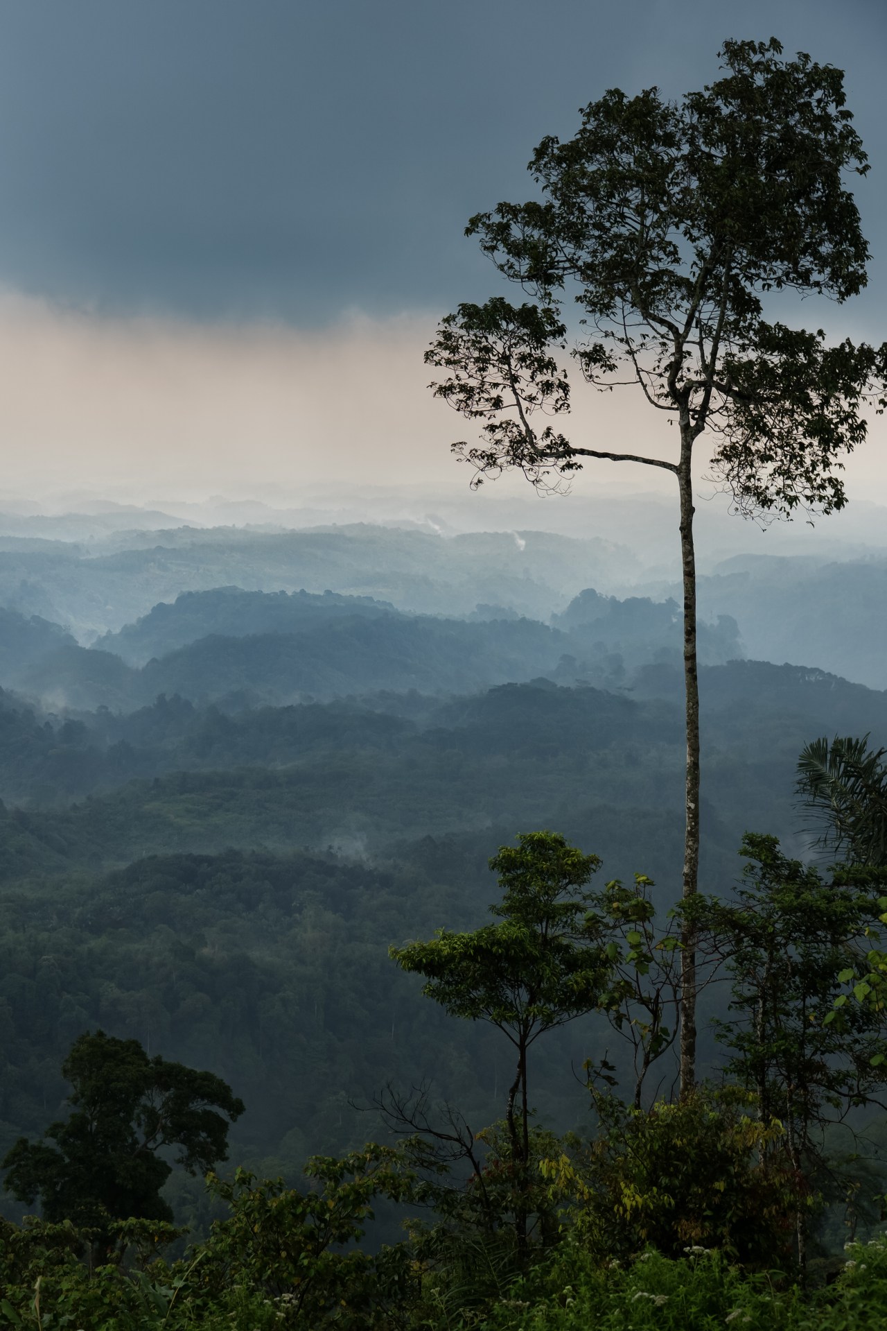 PWB_Sumatra_FinalStory-10