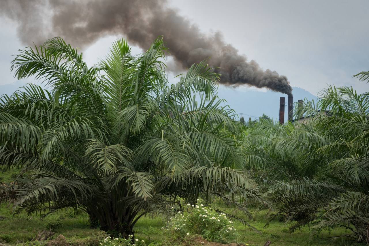 PWB_Sumatra_FinalStory-3