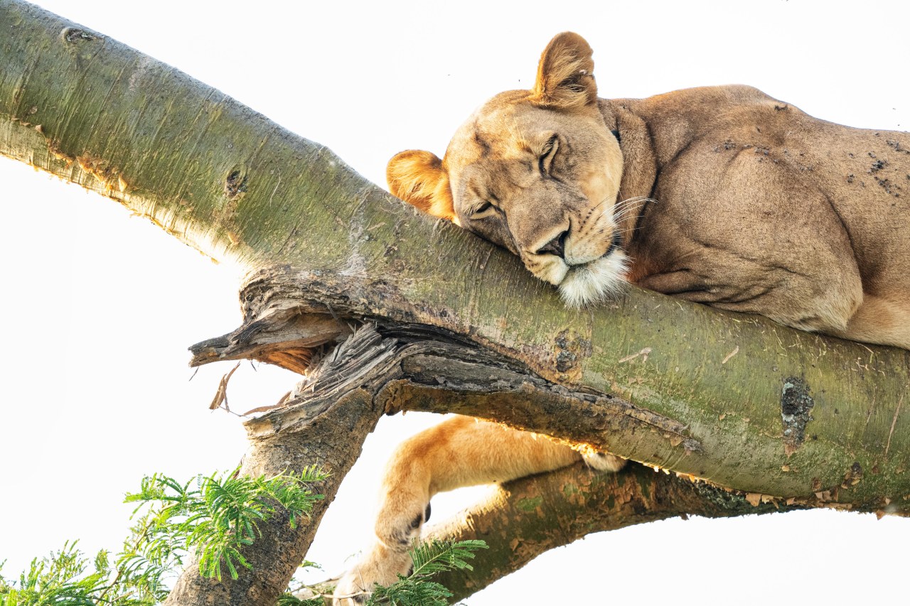 Uganda (a collection of my&nbsp;favorites)